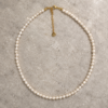 Collar de Perlas Alba con perlas blancas y acero inoxidable dorado Collar de Perlas Alba con perlas blancas y acero inoxidable dorado