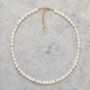 Collar de Perlas Áurea Collar de Perlas Áurea con perlas blancas y detalles dorados