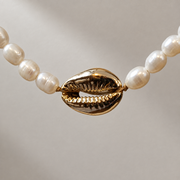 Collar de Perlas Nácar | Míneral Joyería Acercamiento de collar de Perlas Nácar con perlas blancas naturales y concha cauri dorada
